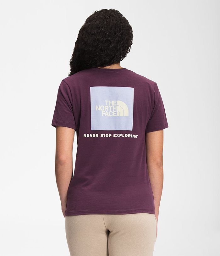 The North Face Short Sleeve Box NSE Womens T-Shirts Purple 149237-YRF